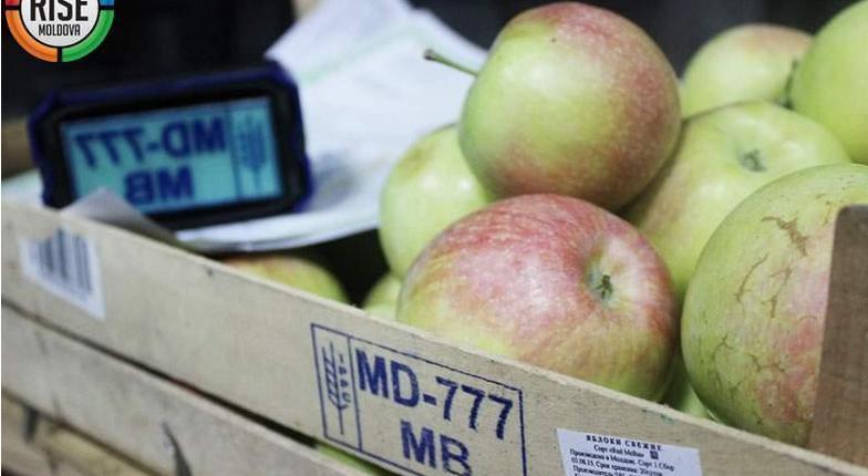 В Кишиневе за взятки покупается право на поставки фруктов на российский рынок