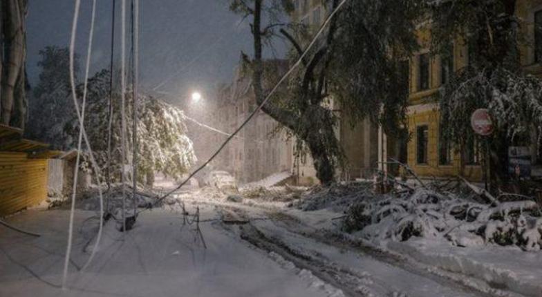 Власти намерены возложить на потребителей ущерб электросетям от апрельских снегопадов