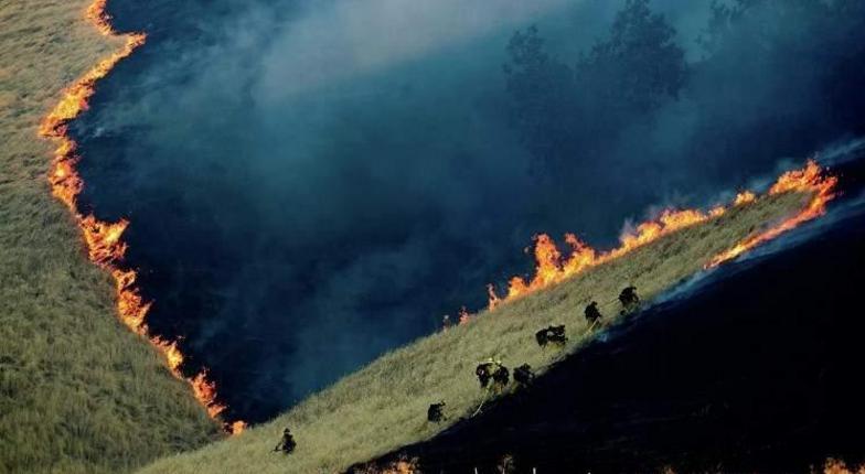 Пожары в Калифорнии выходят из-под контроля