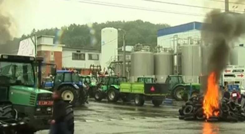 Бельгийские сельхозпроизводители вышли на протесты
