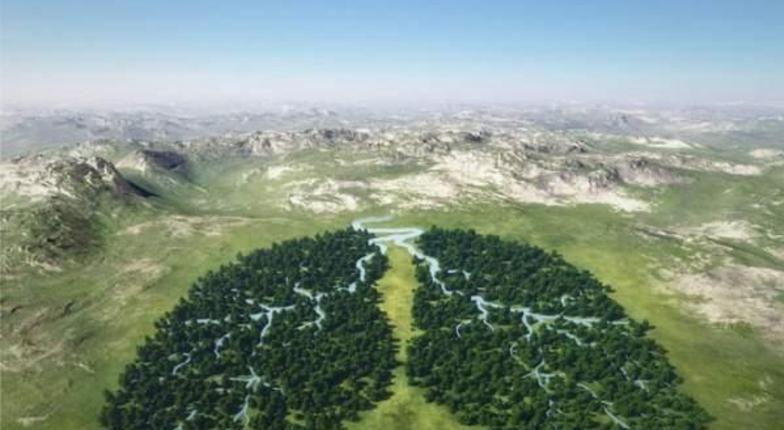 В Молдове готовятся отметить Международный день лесов