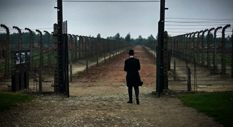 Меркель впервые на посту канцлера посетит Освенцим