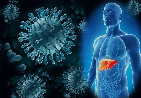 Вирусные гепатиты: симптомы, пути заражения